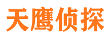 东海岛侦探公司